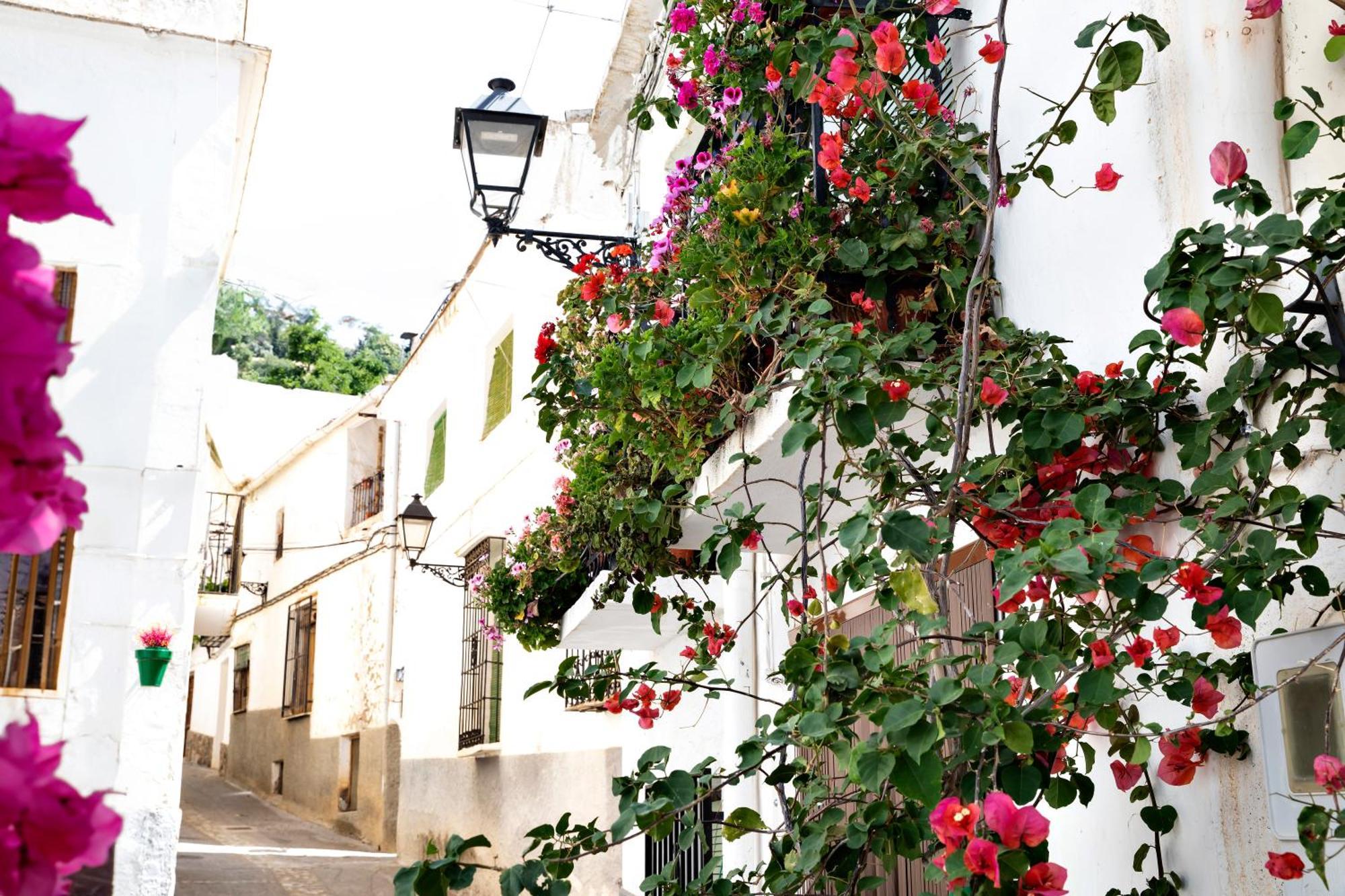 Alpujarra Relax Carataunas מראה חיצוני תמונה